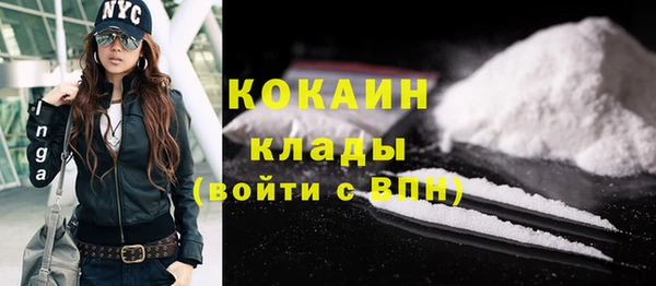 2c-b Каменка