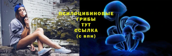 2c-b Каменка