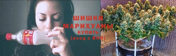 2c-b Каменка