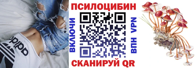 Купить закладки  Кадников  Псилоцибиновые грибы ЛСД 