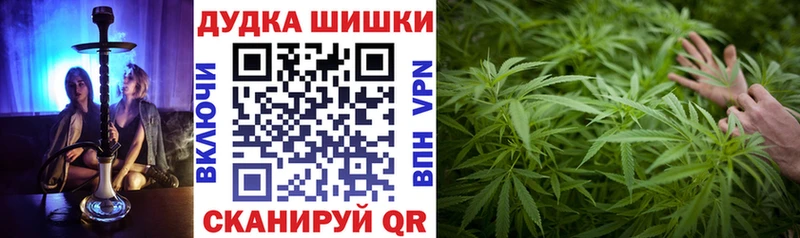 Купить где  Кадников  Конопля индика 